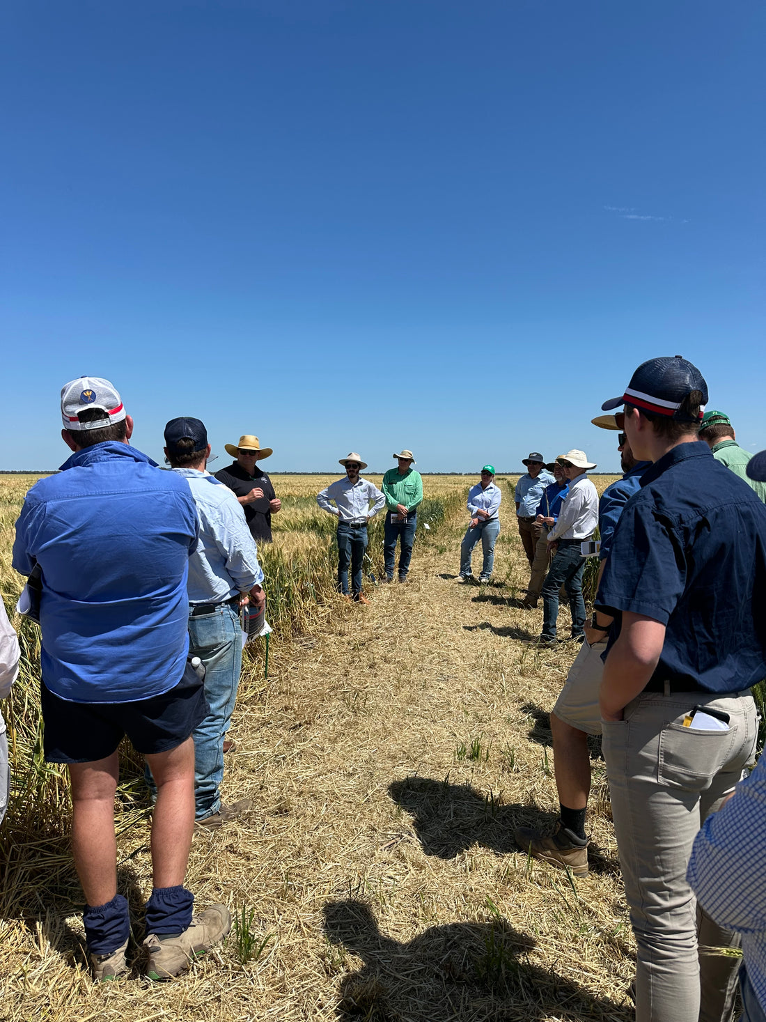 A group of farmers storytelling in the paddock